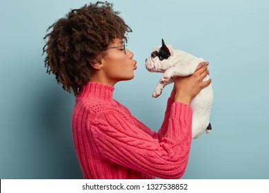 Sideways Shot Of Lovely Woman With Black Skin, Kisses Cute French Bulldog Puppy, Raises It In Air Near Face, Being In Love With Her Favourite Dog, Expresses Affection And Care, Wears Pink Jumper