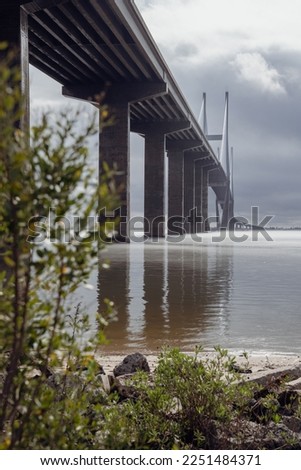 The Sidney Lainer Bridge in Brunswick, Georgia