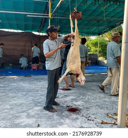 Sidoarjo, Indonesia - July 10, 2022: Slaughter Of Sacrificial Animals On Eid Al-Adha. Muslim People Are Slaughtering Sheep Or Goat As Sacrificial Animals On Eid Al-Adha