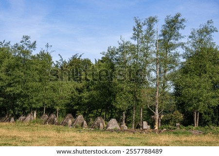 The Siegfried Line. A system of strongpoints  in Germany also known as the Westwall. German defensive line built of concrete and stone. Forest background.  Large cement antitank obstructions.