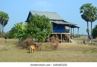 SIEM REAP CAMBODIA MARCH 30: Typical Homes On Stilts On The Bank Of The Tone Sap River On March 30 2013 In Siem Reap Cambodia