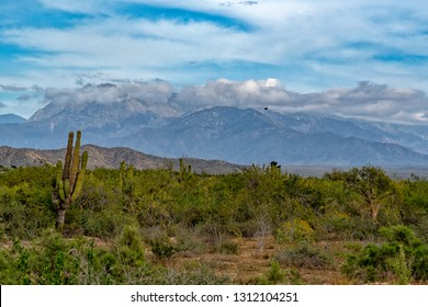 Sierra De La Laguna Baja California Sur Mexico