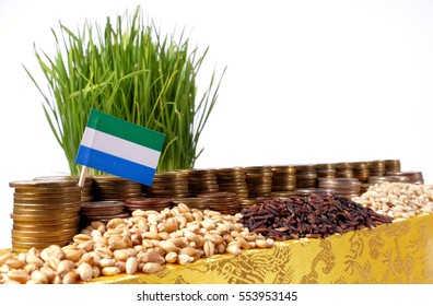 Sierra Leone flag waving with stack of money coins and piles of wheat and rice seeds