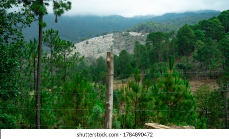 Sierra Madre Del Sur Michoacan