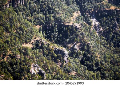 Sierra Madre Occidental In Mexico, Texture With Trees And Rocks 