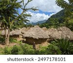 The Sierra Nevada de Santa Marta Kogi tribe huts