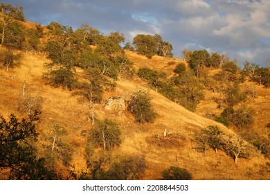 Sierra Nevada Foothills In The Town Of Three Rivers.