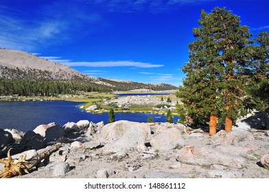 Sierra Nevada Mountains, California, USA