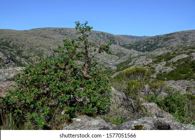 Córdoba Sierras Mountains, Córdoba Province , Argentina