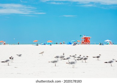 Siesta Key Beach in Sarasota Florida. #1 Beach in the USA. Red wooden lifeguard hut and flying seagulls on an empty morning beach. Top ten best beaches in the USA with white sand.