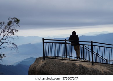 Sights