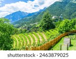 Sights from Dorf Tirol on Meran and other Landscapes South Tyrol Italy