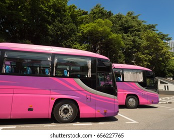 Sightseeing bus lined up with parking lot
