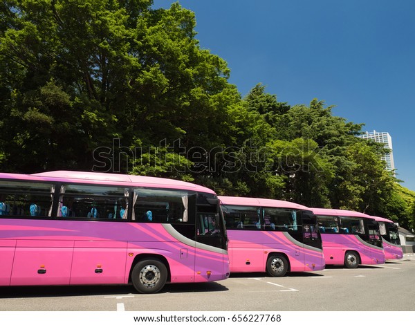 Sightseeing bus lined up\
with parking lot