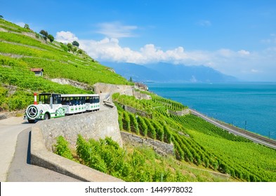 Sightseeing train with tourists driving along terraced vineyards by Geneva Lake, Switzerland. Swiss Lac Leman is popular holiday destination and tourist attraction. Beautiful scenery. Amazing nature.