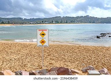 Sign At Avoca Beach NSW Australia Saying Beach Is Closed Due To Shark Attack