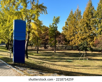 Sign Board In The Park With Trees And The Sky. Autumn Mood With No People In The Nature Feeling Warm