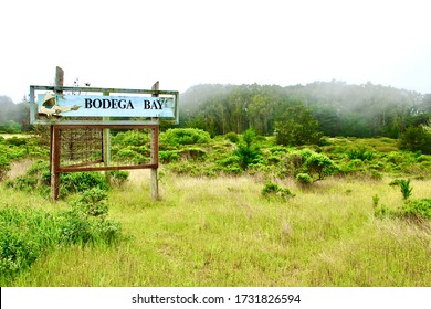 Sign In Bodega Bay California