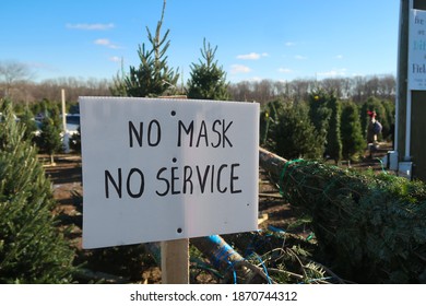 Sign At A Christmas Tree Farm That Says, NO MASK NO SERVICE. Off Center. 