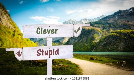 Sign Clever Vs Stupid