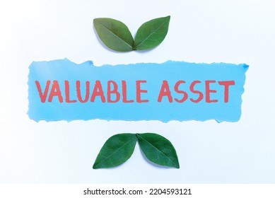 Sign Displaying Valuable AssetYour Most Valuable Asset Is Your Ability Or Capacity. Conceptual Photo Your Most Valuable Asset Is Your Ability Or Capacity