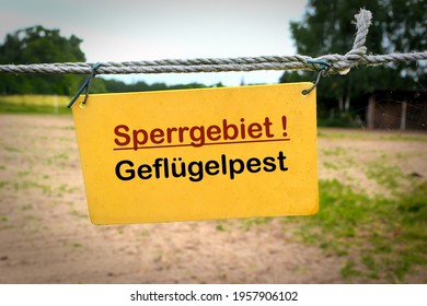Sign at the entrance of a farm in Germany with the inscription restricted area avian influenza (Sperrgebiet Geflügelpest)  