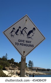 Sign For Fairy Penguins