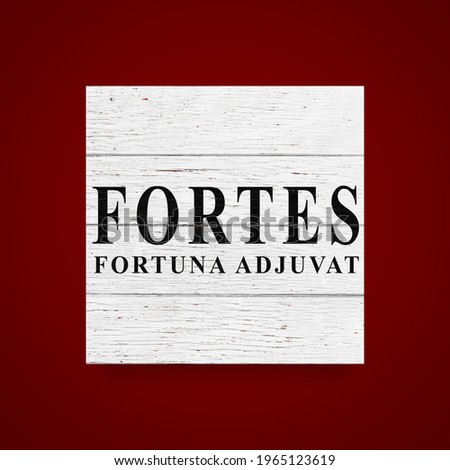 Sign Fortes fortuna adjuvat - Fortune favors the brave. White wooden wall, boards. Old white rustic wood background, wooden surface.