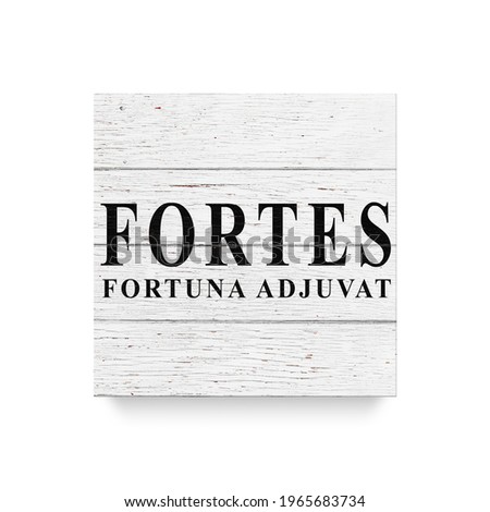 Sign Fortes fortuna adjuvat - Fortune favors the brave. White wooden wall, boards. Old white rustic wood background, wooden surface.