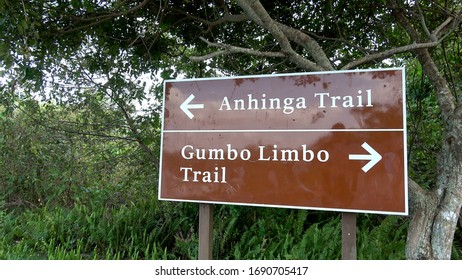 Sign - Gumbo Limbo Trail In The Everglades