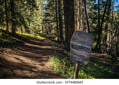 Sign And Hiking Trail In The Lizard Head Wilderness, San Juan National Forest, Colorado