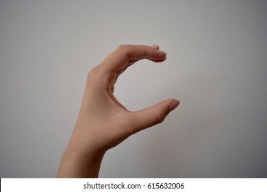 Sign Language - C