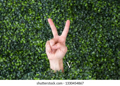 Sign Language Letter V made with hand against green plant background