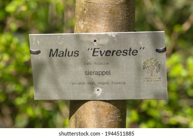 Everest Sign Stock Photos Images Photography Shutterstock