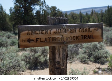 Sign Marking Hiking Trails Giving Directions Stock Photo 1402939304 ...