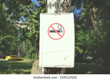 A Sign With A No Smoking Sign On A Birch Tree In The Park. Smoking Is Prohibited In The City Park. An Unstubbed Cigarette May Cause A Fire. The Cause Of The Forest Fire.  Environmental Conservation.