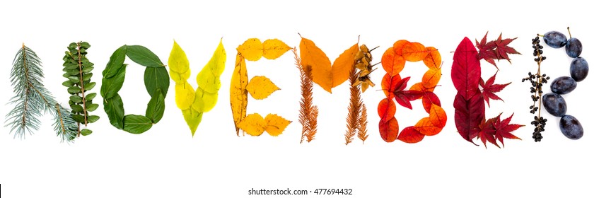 Sign "November" made of autumnal natural objects. Colorful leaves and mushrooms arranged into the "November" text. Autumnal mood.