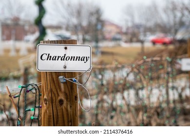 Sign On Post In Wine Vineyard Reading Chardonnay.