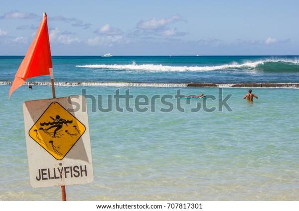 A sign\
with an orange flag warns swimmers of the possible danger of\
stinging jellyfish in the ocean near the breakwater off Waikiki\
Beach in Honolulu on the island of Oahu,\
Hawaii.