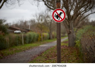 Sign In A Park That Dogs Are Not Allowed To Do Their Business Here, No Dog Poo