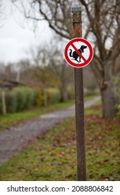 Sign In A Park That Dogs Are Not Allowed To Do Their Business Here, No Dog Poo