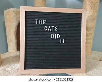 A Sign Saying The Cats Did It. The Felt Sign Has Removable Letters Than Can Be Moved Around To Make Whatever Words Or Saying One Wants. 