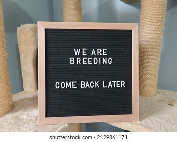 A Sign Saying We Are Breeding Come Back Later. The Felt Sign Has Removable Letters Than Can Be Moved Around To Make Whatever Words Or Saying One Wants. 