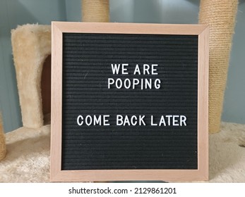 A Sign Saying We Are Pooping Come Back Later. The Felt Sign Has Removable Letters Than Can Be Moved Around To Make Whatever Words Or Saying One Wants. 