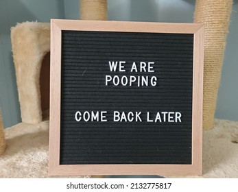 A Sign Saying We Are Pooping Come Back Later. The Felt Sign Has Removable Letters Than Can Be Moved Around To Make Whatever Words Or Saying One Wants.