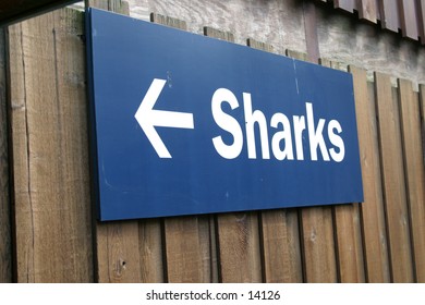 Sign To Shark Tank