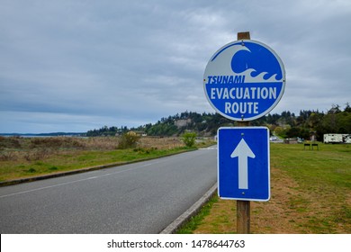 A sign showing a Tsunami Evacuation Route near the Pacific Ocean in Washington, USA