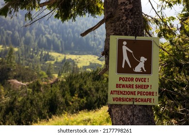 Sign In Slovene Alps To Put The Dog On A Leash Because There Are Flock Sheep On Free Range Pasture