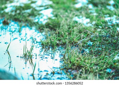 Sign of spring