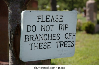 A sign stating:
Please do not rip branches off these trees